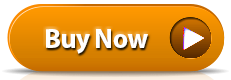 buy the silver seo package